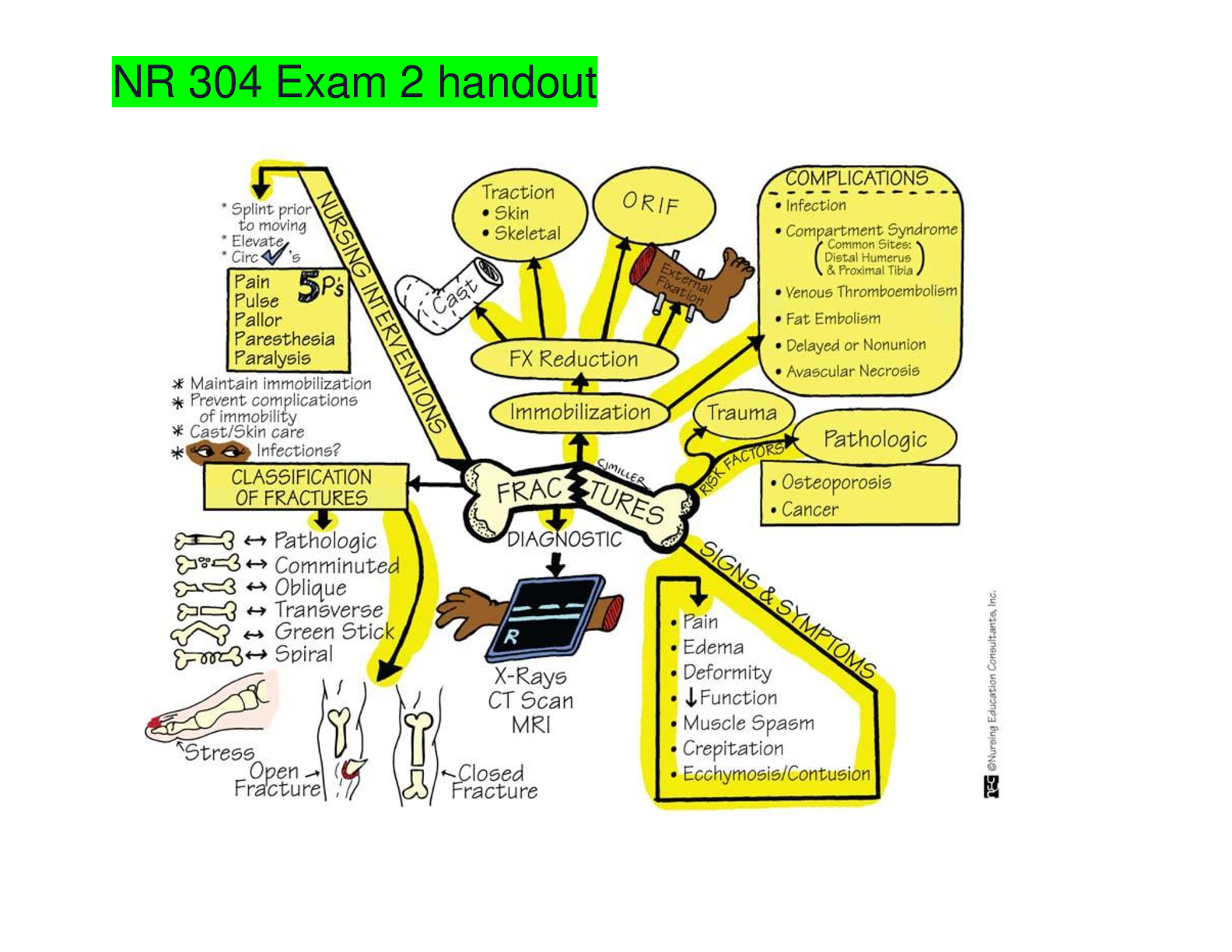 Preview image for NR 304 NR 304 Exam Hand out study guide 2020(Graded A)